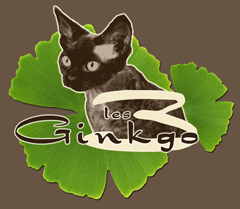 Chats rex devon des 3 Ginkgo