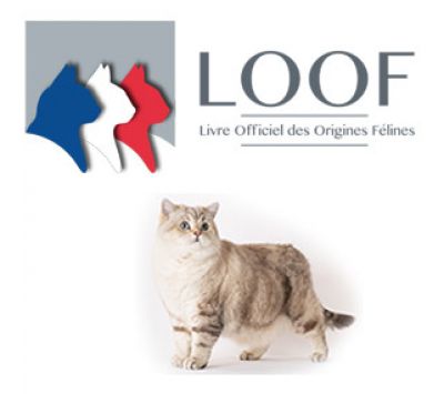 Les statistiques 2018 du LOOF