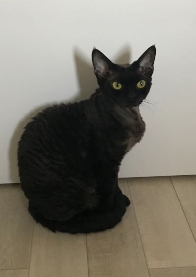 Olya  a trouvé sa famille ce 29/01/2022